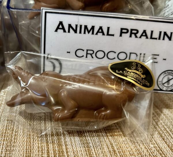 Crocodile praliné - sans gluten