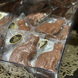 Hazelnut Cat - gluten free