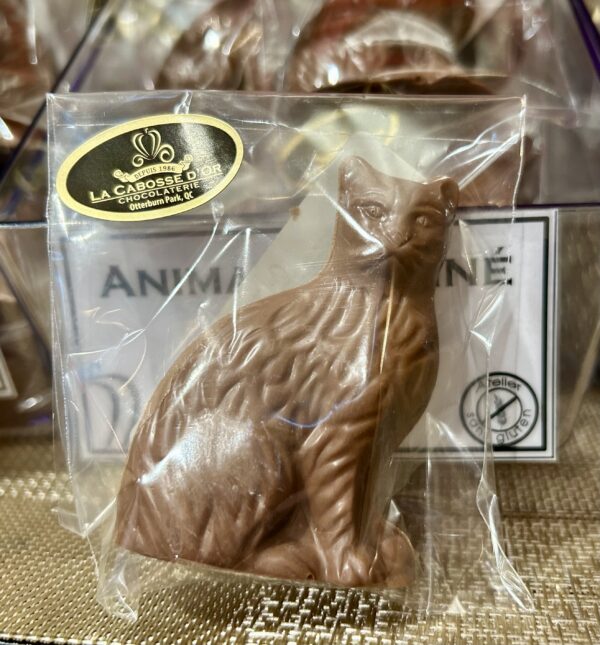 Chat praliné - sans gluten
