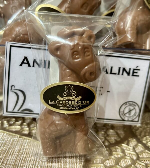 Girafe pralinée- sans gluten